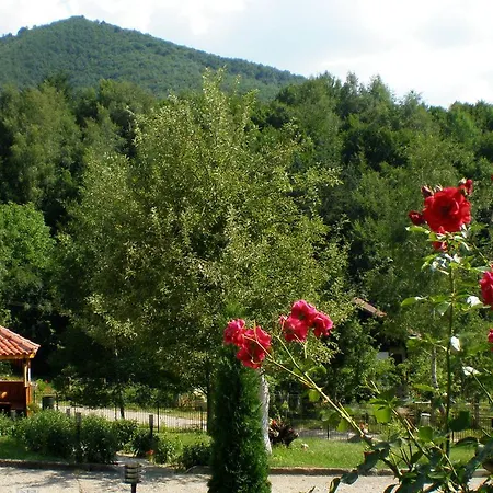 Perfect Hotel *